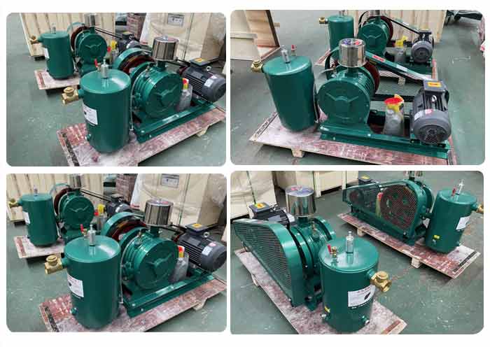 回轉(zhuǎn)式鼓風機